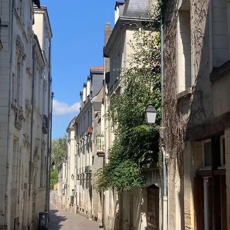 Hotel Robin Quantin In The Heart Of Old Tours Exterior foto