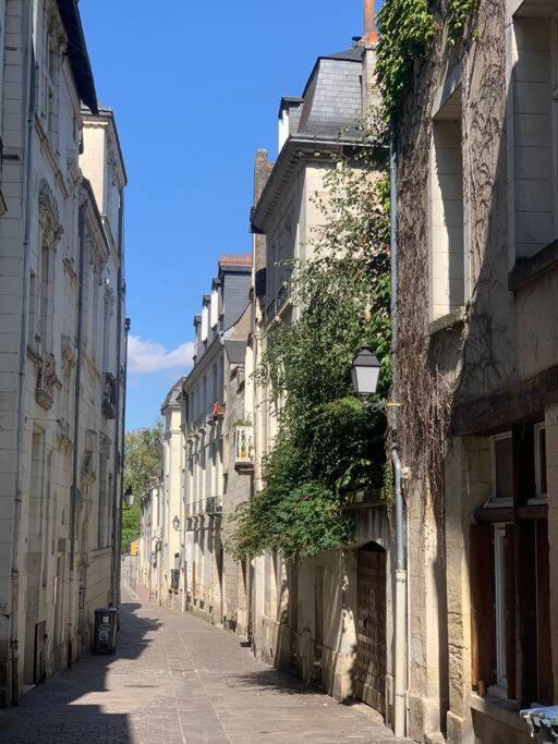 Robin Quantin In The Heart Of Old