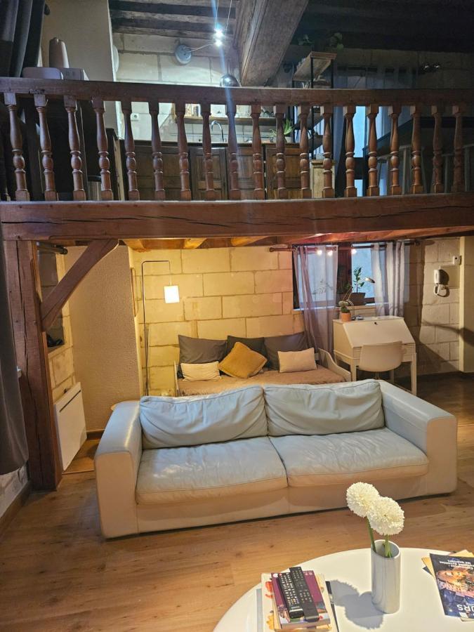 Apartment Robin Quantin In The Heart Of Old Tours
